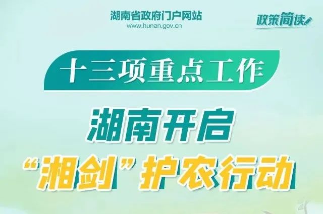 常州罗溪汤庄最新招聘动态与职业机遇展望报告